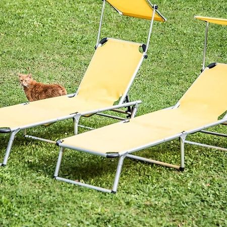 Apartment Pouringraz Fuer Kunst- Und Tennisliebhaber المظهر الخارجي الصورة